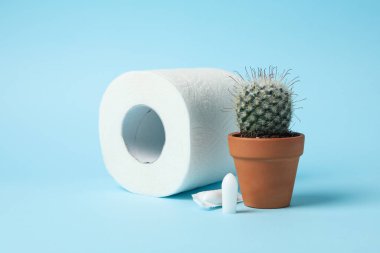 Toilet paper, cactus and candles on blue background, close up clipart