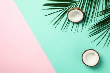 Palmiye dalları ve hindistan cevizi iki ton arkaplan üzerinde, metin için boşluk