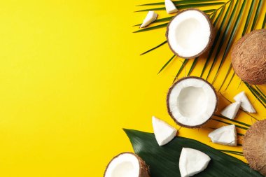 Sarı arka planda hindistan cevizi ve palmiye dalı. Tropik meyve