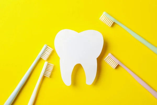 Toothbrushes and tooth on yellow background, top view