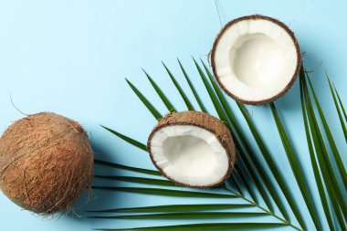 Mavi arkaplanda hindistan cevizi ve palmiye dalı, üst görünüm