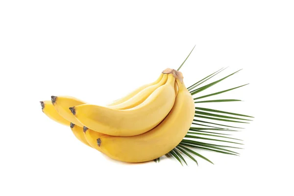 Bananas Ramos Palma Isolados Sobre Fundo Branco — Fotografia de Stock