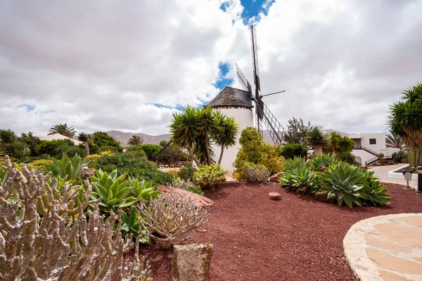 Museum Windmühle antigua fuerteventura, Kanarische Inseln, Spanien — Stockfoto