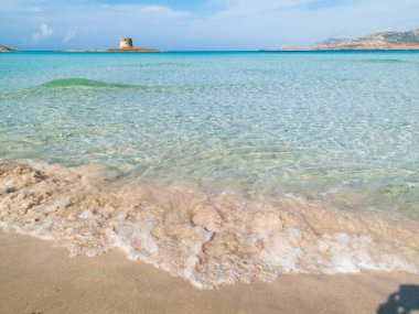 Stintino 24 Ekim 2013. Pelosa beach adlı Sardunya İtalya