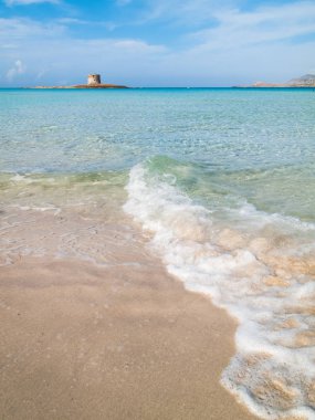 Stintino 24 Ekim 2013. Pelosa beach adlı Sardunya İtalya