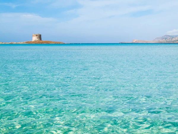 Stintino 24 oktober 2013. pelosa strand auf sardinien italien — Stockfoto