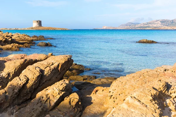 Stintino 24 oktober 2013. pelosa strand bei stintito, sardinien italien — Stockfoto