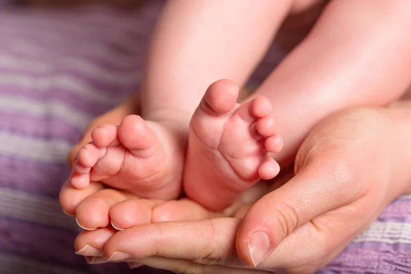 Små spädbarn fot — Stockfoto