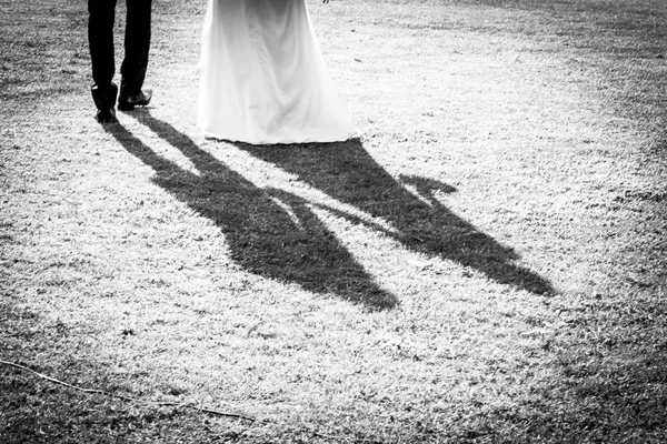 Shadows bride and groom kiss — Stock Photo, Image