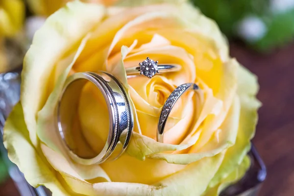 Anéis de casamento de ouro no travesseiro de cetim — Fotografia de Stock