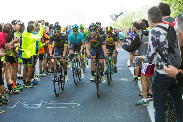 OROPA, ITALIE - 20 MAI 2017 : Les cyclistes participent à la 14ème étape du Giro d'Italia Castellania-Oropa, la 100ème édition du Giro d'Italia . — Photo