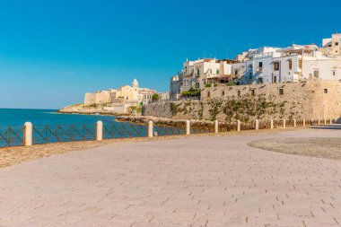 Vieste view, Apulia,south Italy clipart