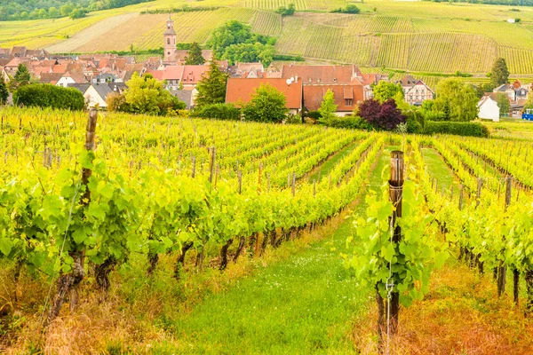 Vista da vila de Riquewihr na Alsácia, França — Fotografia de Stock