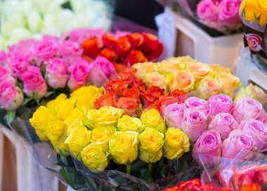 Bahar demeti gül rengi