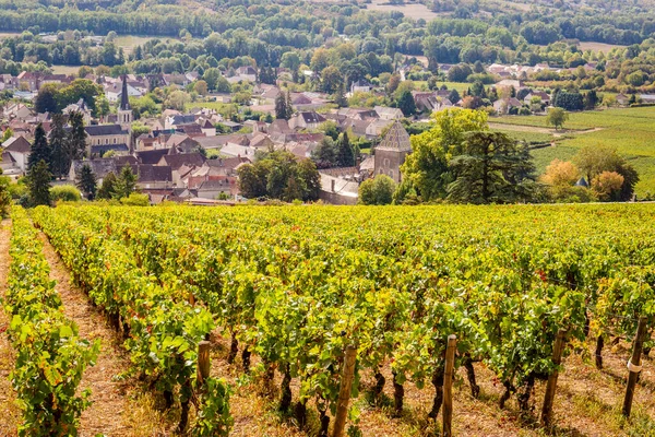 Setembro 2019 Santenay Village Burgundy Francia — Fotografia de Stock