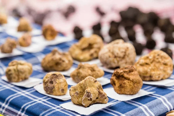 white truffles of  Alba, Piedmont region, Italy.