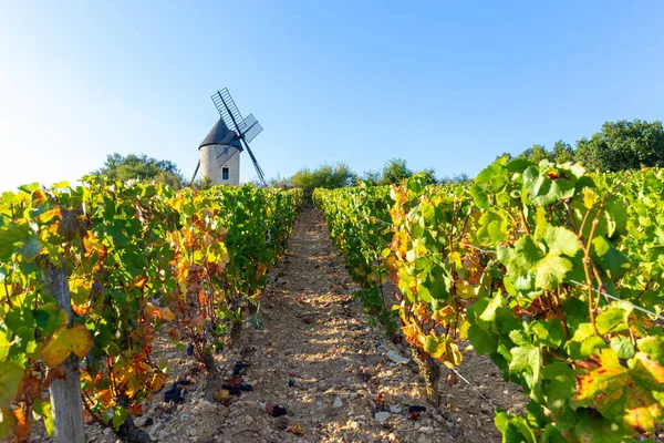 September 2019 Sorine Mill Burgundy France — Stock Photo, Image