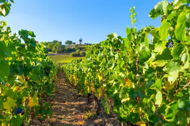 15 Eylül 2019. Burgundy, Fransa 'daki Sorine Mill.
