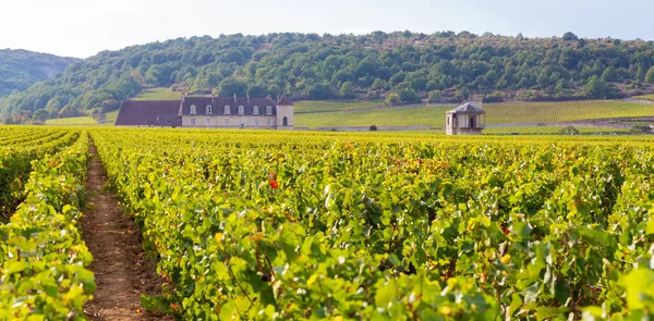 Setembro 2019 Vista Castelo Vougeot Borgonha França — Fotografia de Stock