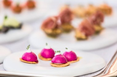 Peynir ve et çeşnisi aperatifler ve parmak yiyecekleri.