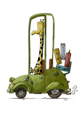 Yeşil eski bir arabayı süren bir zürafanın komik bir çizimi. izole