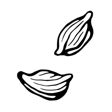 El çizimi kakule vektörü beyaza izole edilmiş. Şenlik tasarımı ve tatil dekorasyonu için çizim.