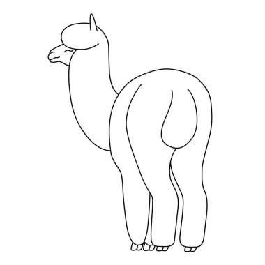 El çizimi komik lama. Doğrusal çizim vektörü. Tasarımınız için sevimli illüstrasyon.