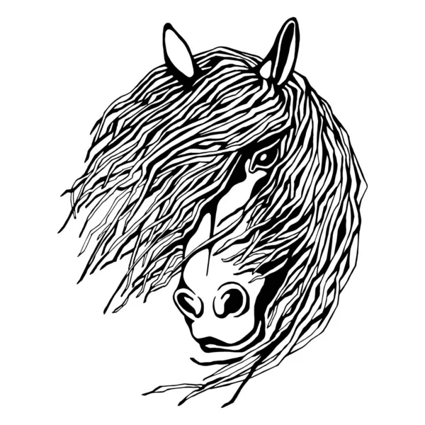 Hand Drawn Cute Black White Horse Portrait Vector Illustration Isolated — Stock Vector