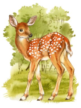 Sekiz, on bir, beş, dört, dokuz, bir, yedi, altı, on, üç, on iki,