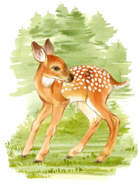 Yeşil ormanın arka planında suluboya geyik yavrusu. Bir bebek geyiğin el çizimi..