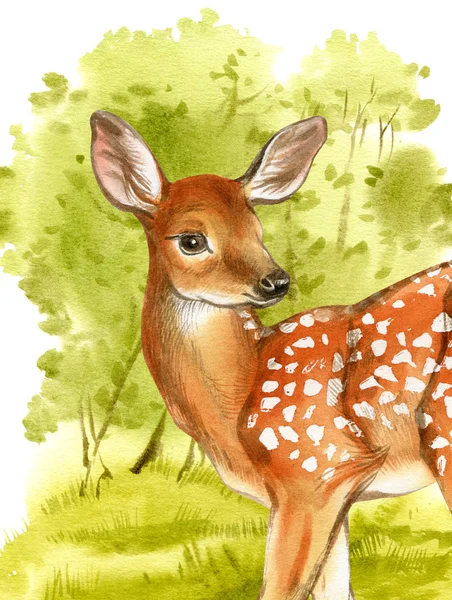 Akwarela Płoć Tle Zielonego Lasu Ręcznie Rysowana Ilustracja Małego Jelenia — Zdjęcie stockowe
