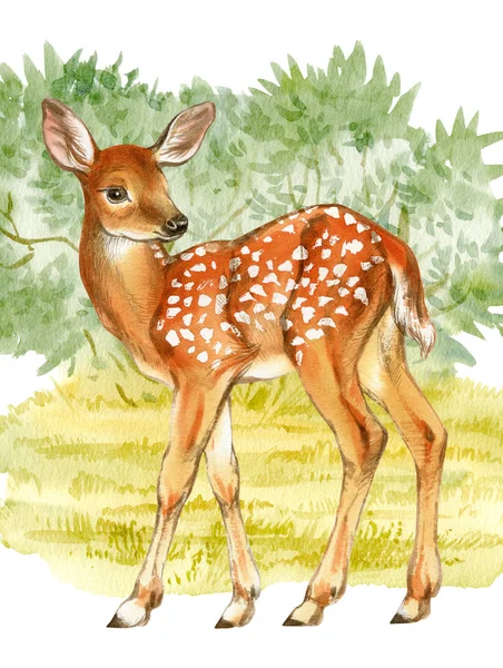 Akvarel Plavý Pozadí Zeleného Lesa Ručně Kreslená Ilustrace Jelena — Stock fotografie