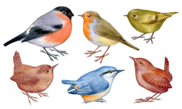 Sekiz, on bir, beş, dört, dokuz, bir, yedi, altı, on, üç, on iki,