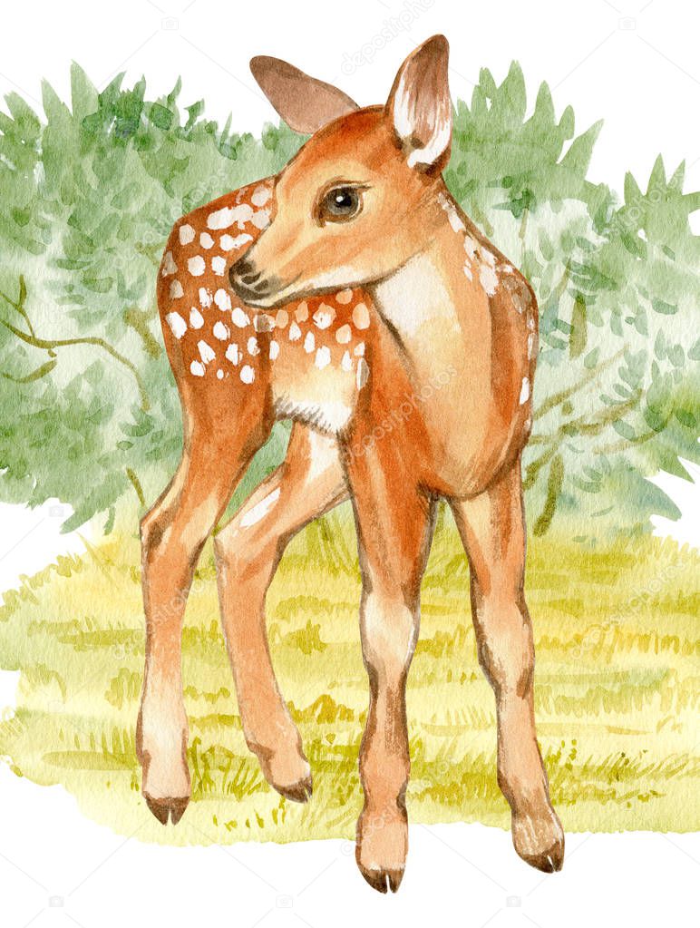Watercolor fawn on a background of green forest. Hand-drawn illustration of a baby deer.