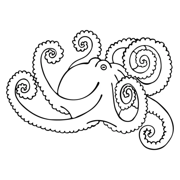 Handgetekende Vector Octopus Geïsoleerd Witte Achtergrond Zwart Wit Afbeelding Van — Stockvector