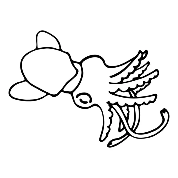 Handgezeichneter Vektor Tintenfisch Isoliert Auf Weißem Hintergrund Schwarzweiß Abbildung — Stockvektor
