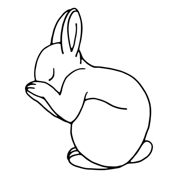 Conejo Vector Dibujado Mano Aislado Sobre Fondo Blanco Ilustración Blanco — Archivo Imágenes Vectoriales