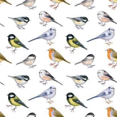 Sonsuz bir şenlik dokusu. Beyaz üzerine izole edilmiş orman kuşlarının suluboyası. Selamlama dizaynı için kusursuz desen. El çizimi stok illüstrasyonu.