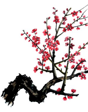 Çiçek açan bir ağacın dalı. Pembe ve kırmızı stilize edilmiş erik mei çiçekleri, yabani kayısılar ve sakura. Suluboya ve mürekkep stoku çizimleri. Geleneksel Çin mürekkep resmi.
