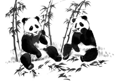 Bambu dallı iki pandanın doğu tarzı resmi. Geleneksel Çin mürekkebi ve çamaşır boyası beyaz arka planda izole edilmiş. Orijinal el çizimi suluboya resimleme.