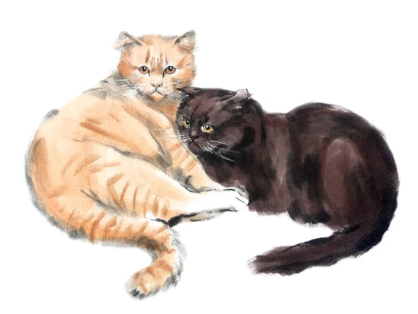Oosterse Stijl Schilderij Van Twee Katten Traditionele Chinese Inkt Wassen — Stockfoto
