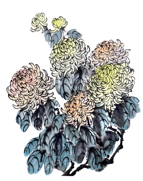 Акварель Цветка Хризантемы Традиционные Китайские Чернила Стирка Живописи Склад Иллюстрации — стоковое фото