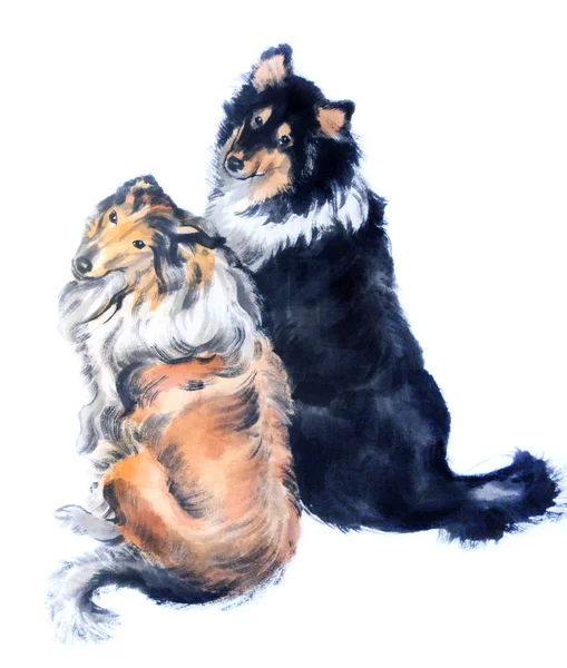 两只坐着的狗的东方风格的绘画 传统的中国水墨画与水墨画在白色背景下隔离开来 手绘黑白水彩画原图 — 图库照片