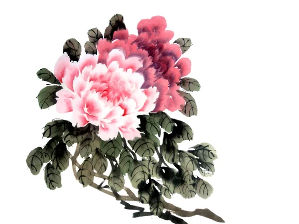 Watercolor of peony flower,traditional chinese ink and wash painting. Stock illustration for your design.