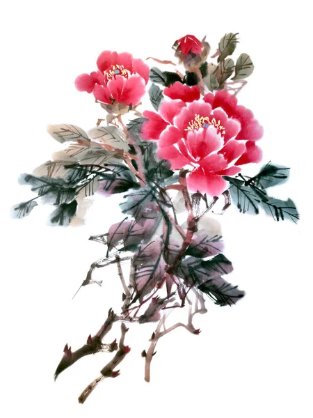 牡丹の花の水彩、伝統的な中国のインクとウォッシュ痛み — ストック写真