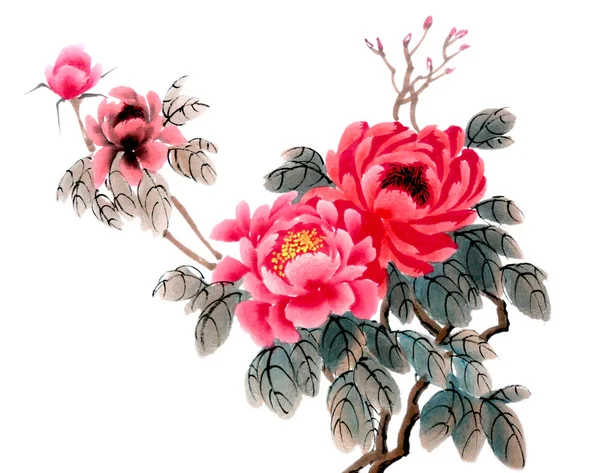 Aquarell Der Pfingstrosenblume Traditionelle Chinesische Tusche Und Waschemalerei Lagerillustration Für — Stockfoto