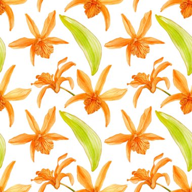 Beyaz arka planda izole edilmiş Orkide 'nin el yapımı suluboya çizimleri. Renkli dendrobiyumlu kusursuz desen Stardust Ateş Kuşu.