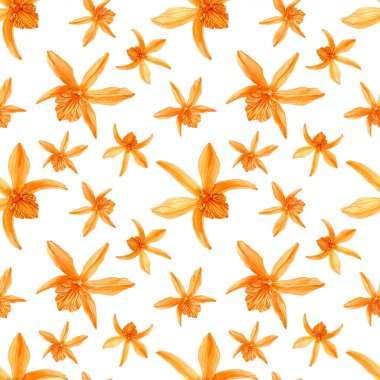 Beyaz arka planda izole edilmiş Orkide 'nin el yapımı suluboya çizimleri. Renkli dendrobiyumlu kusursuz desen Stardust Ateş Kuşu.