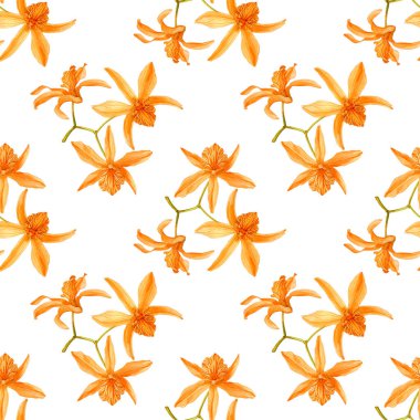 Beyaz arka planda izole edilmiş Orkide 'nin el yapımı suluboya çizimleri. Renkli dendrobiyumlu kusursuz desen Stardust Ateş Kuşu.