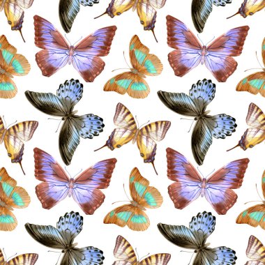 Güzel kelebekli suluboya desenli. Sonsuz duvar kağıdının stok illüstrasyonu.